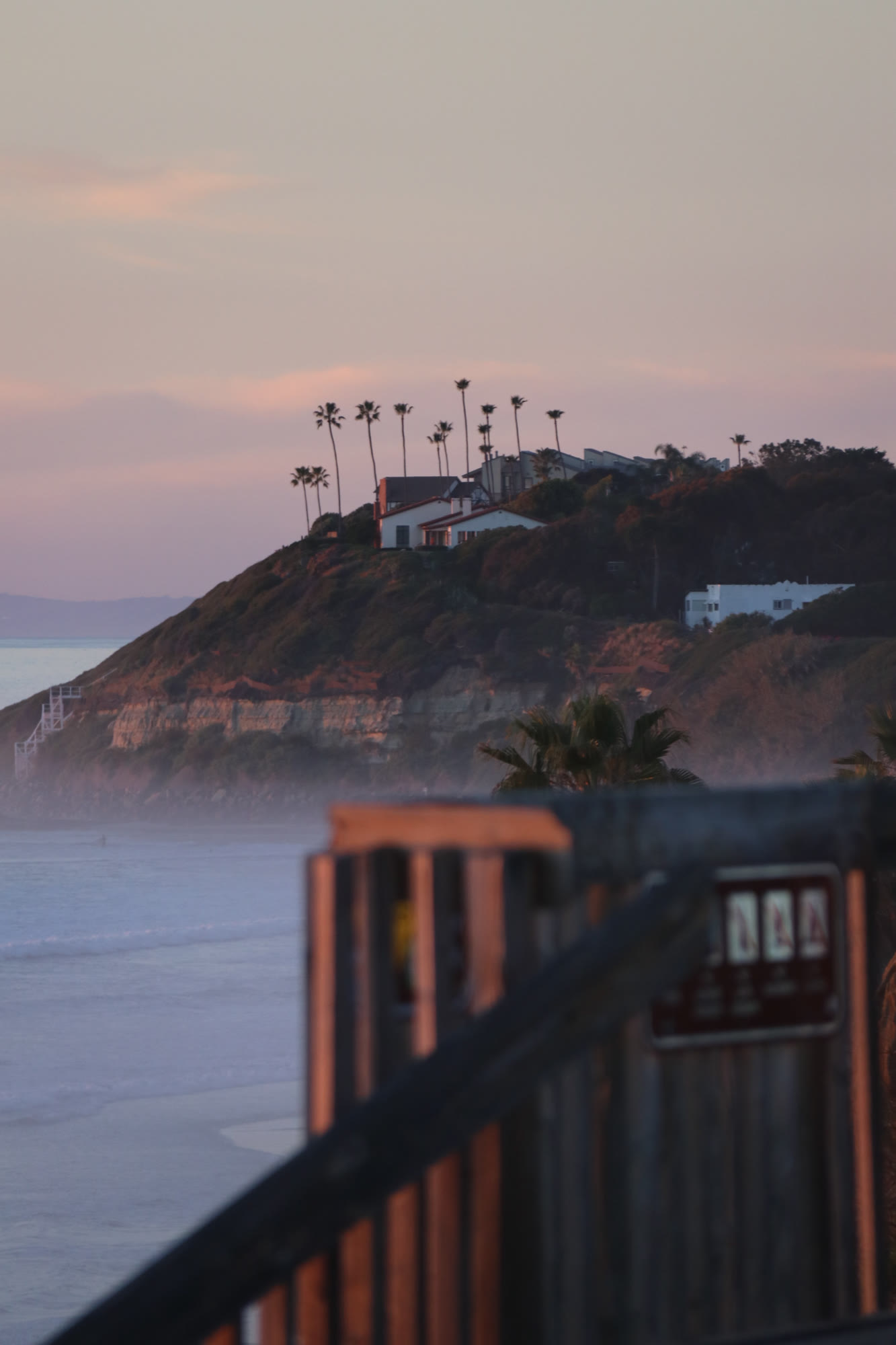 Palm-lined California cliffs at dusk